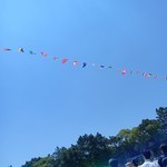 すこやか歯科　ブログ　お知らせ