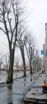 すこやか歯科　ブログ
