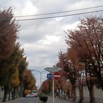 すこやか歯科　ブログ　お知らせ