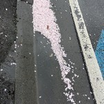 すこやか歯科　ブログ　お知らせ