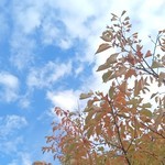 すこやか歯科　ブログ　お知らせ