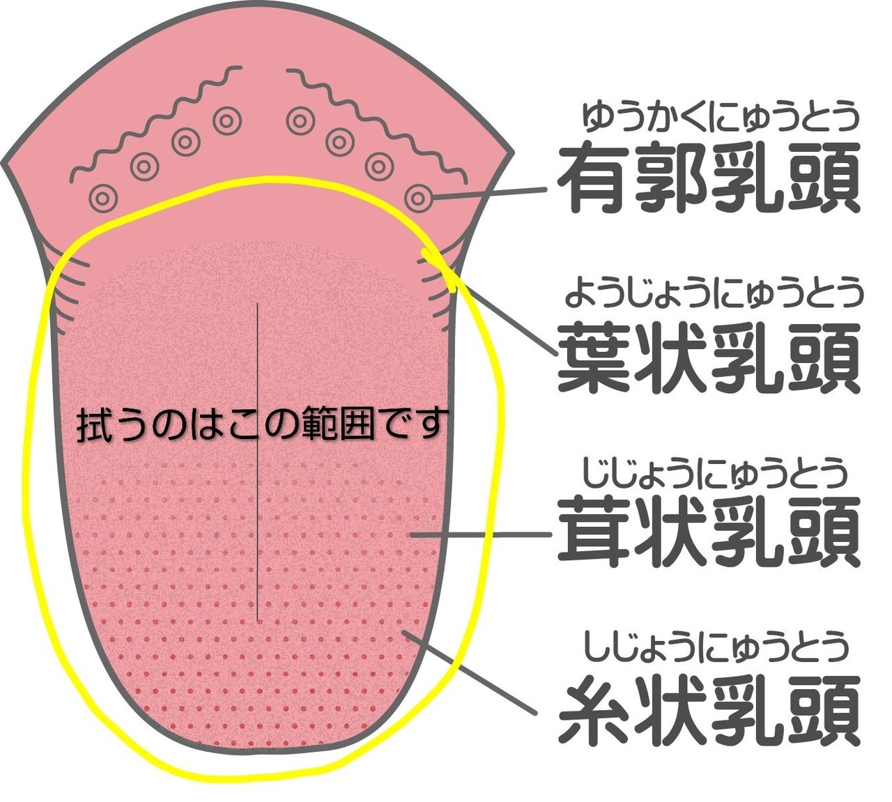 舌磨き　口臭　新松戸　歯科