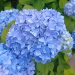 すこやか歯科　ブログ　お知らせ
